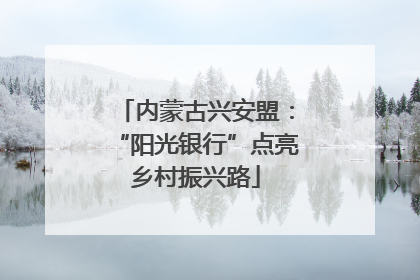 内蒙古兴安盟：“阳光银行”点亮乡村振兴路