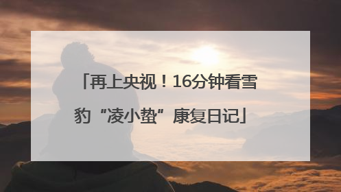 再上央视！16分钟看雪豹“凌小蛰”康复日记