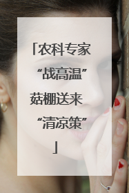 农科专家“战高温” 菇棚送来“清凉策”