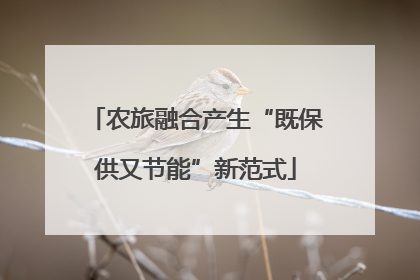 农旅融合产生“既保供又节能”新范式