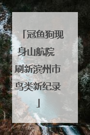 冠鱼狗现身山航院 刷新滨州市鸟类新纪录