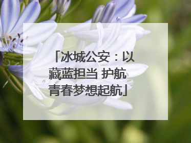 冰城公安：以藏蓝担当 护航青春梦想起航