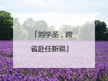 刘学圣，跨省赴任新疆