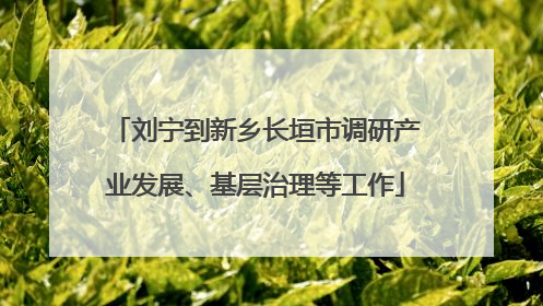 刘宁到新乡长垣市调研产业发展、基层治理等工作