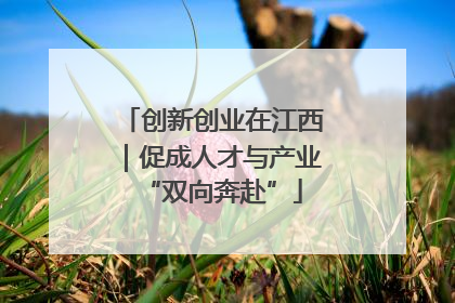 创新创业在江西｜促成人才与产业“双向奔赴”