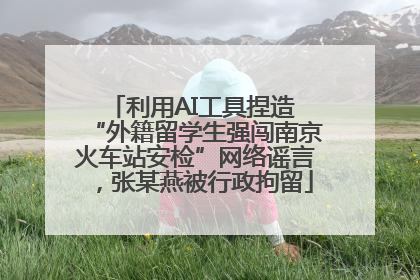 利用AI工具捏造 “外籍留学生强闯南京火车站安检”网络谣言，张某燕被行政拘留