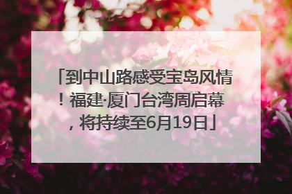 到中山路感受宝岛风情！福建·厦门台湾周启幕，将持续至6月19日