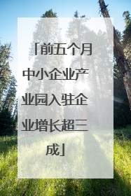 前五个月中小企业产业园入驻企业增长超三成
