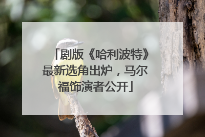 剧版《哈利波特》最新选角出炉，马尔福饰演者公开
