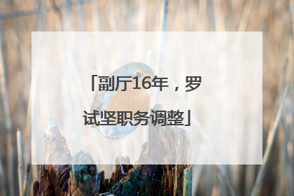 副厅16年，罗试坚职务调整