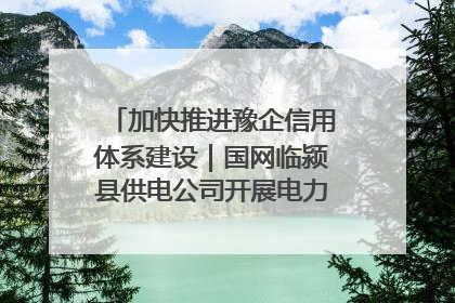 加快推进豫企信用体系建设｜国网临颍县供电公司开展电力行业信用企业现场咨询访谈工作