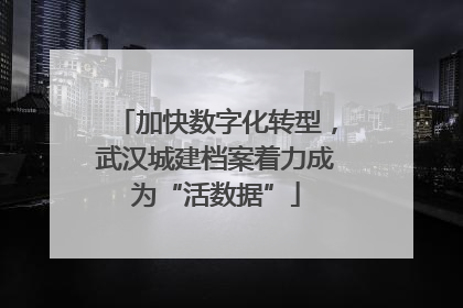 加快数字化转型，武汉城建档案着力成为“活数据”