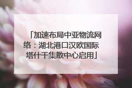 加速布局中亚物流网络：湖北港口汉欧国际塔什干集散中心启用