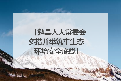 勉县人大常委会多措并举筑牢生态环境安全底线