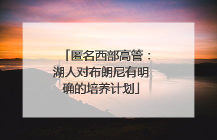 匿名西部高管：湖人对布朗尼有明确的培养计划