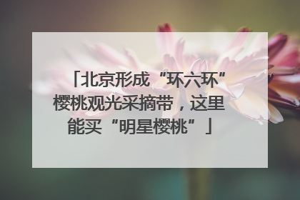 北京形成“环六环”樱桃观光采摘带，这里能买“明星樱桃”