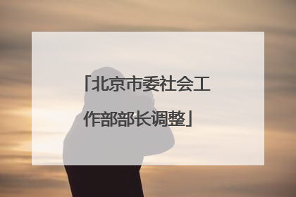 北京市委社会工作部部长调整