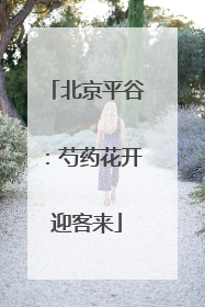 北京平谷：芍药花开迎客来