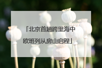 北京首趟跨里海中欧班列从房山启程