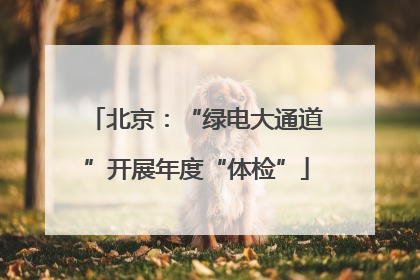 北京：“绿电大通道”开展年度“体检”