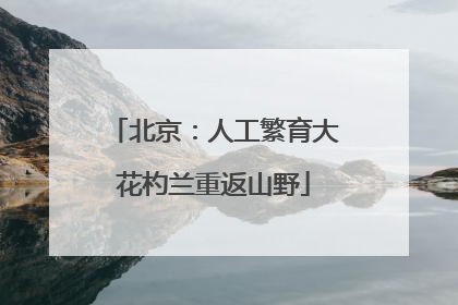 北京：人工繁育大花杓兰重返山野