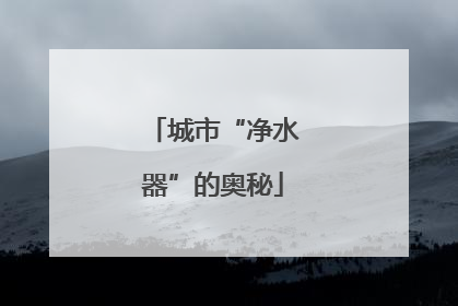 城市“净水器”的奥秘