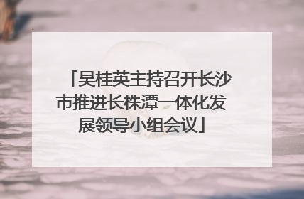 吴桂英主持召开长沙市推进长株潭一体化发展领导小组会议
