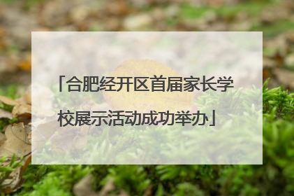 合肥经开区首届家长学校展示活动成功举办