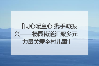 同心暖童心 携手助振兴——杨园街道汇聚多元力量关爱乡村儿童