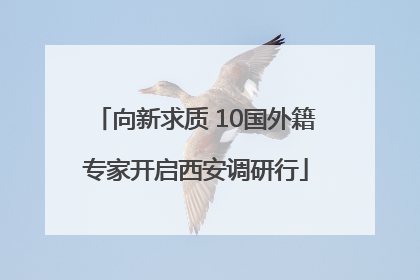 向新求质 10国外籍专家开启西安调研行