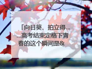 向日葵、拍立得……高考结束定格下青春的这个瞬间是& 8594;｜2025四川高考