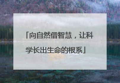 向自然借智慧，让科学长出生命的根系