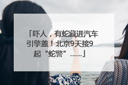 吓人，有蛇藏进汽车引擎盖！北京9天接9起“蛇警”……
