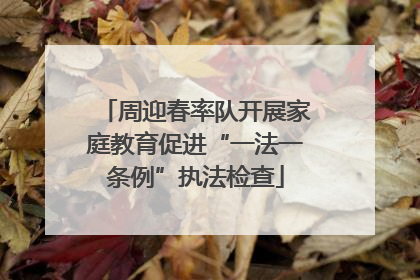 周迎春率队开展家庭教育促进“一法一条例”执法检查