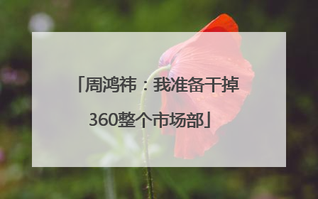 周鸿祎：我准备干掉360整个市场部