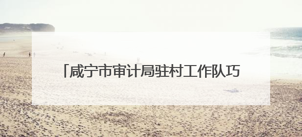 咸宁市审计局驻村工作队巧用“三招”点亮美丽乡村