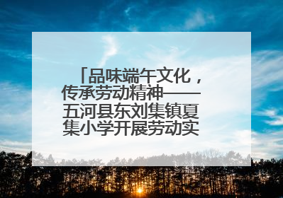 品味端午文化，传承劳动精神——五河县东刘集镇夏集小学开展劳动实践教育活动