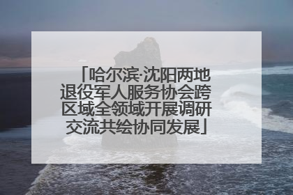 哈尔滨·沈阳两地退役军人服务协会跨区域全领域开展调研交流共绘协同发展