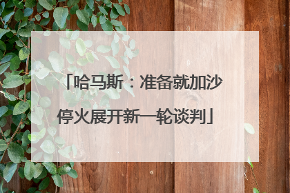 哈马斯：准备就加沙停火展开新一轮谈判