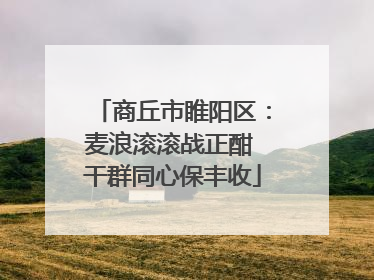 商丘市睢阳区：麦浪滚滚战正酣 干群同心保丰收