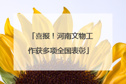 喜报！河南文物工作获多项全国表彰