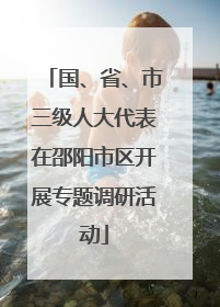 国、省、市三级人大代表在邵阳市区开展专题调研活动
