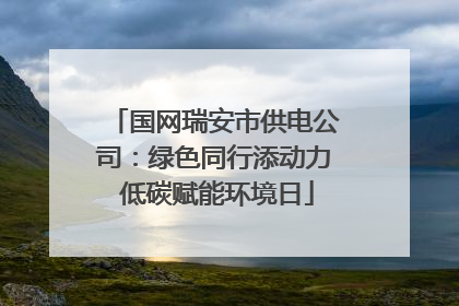 国网瑞安市供电公司：绿色同行添动力 低碳赋能环境日