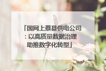 国网上蔡县供电公司：以高质量数据治理 助推数字化转型