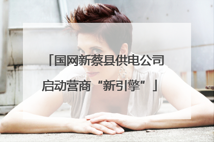 国网新蔡县供电公司启动营商“新引擎”