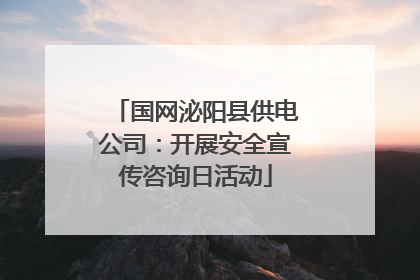 国网泌阳县供电公司：开展安全宣传咨询日活动