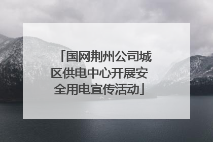 国网荆州公司城区供电中心开展安全用电宣传活动