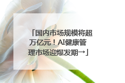国内市场规模将超万亿元！AI健康管理市场迎爆发期→
