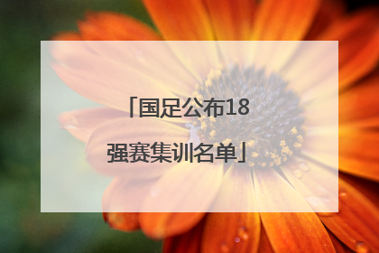 国足公布18强赛集训名单