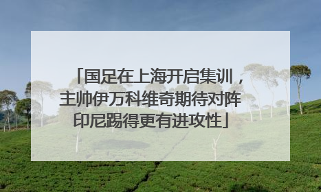国足在上海开启集训，主帅伊万科维奇期待对阵印尼踢得更有进攻性